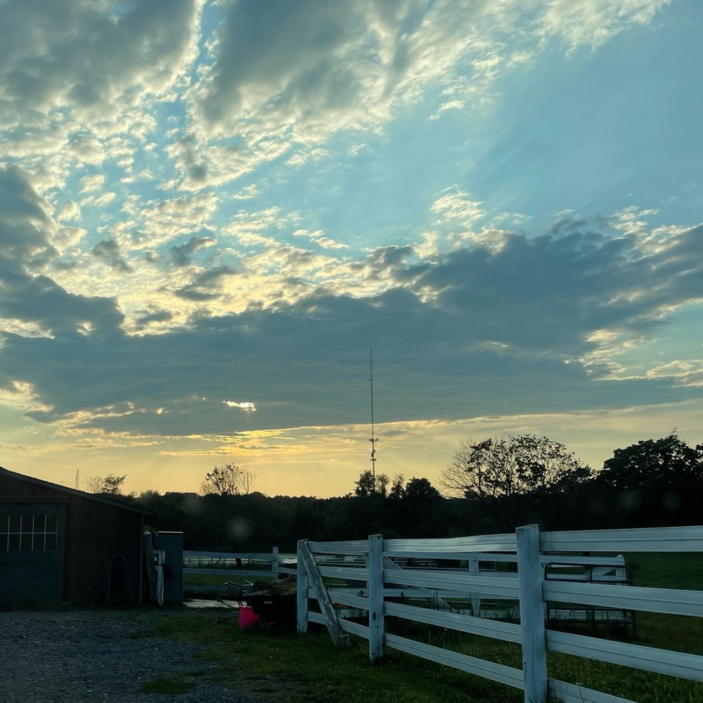 Meet your Posher, Natalie